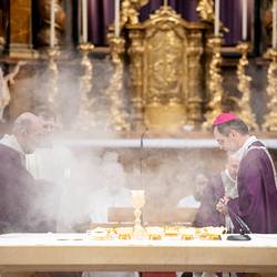 Bischofsprimizmesse Perchtholdsdorf / Erzdiözese Wien/Schönlaub