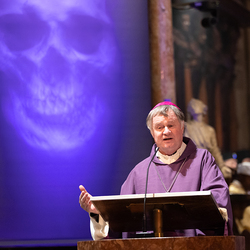 Erzdiözese Wien/ Schönlaub, Stephan Schönlaub