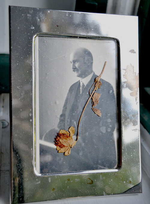 Andenken an Karl Zeßner-Spitzenberg. Die Blume pflückte er in der Haft und schickte sie in einem Brief seiner Frau.