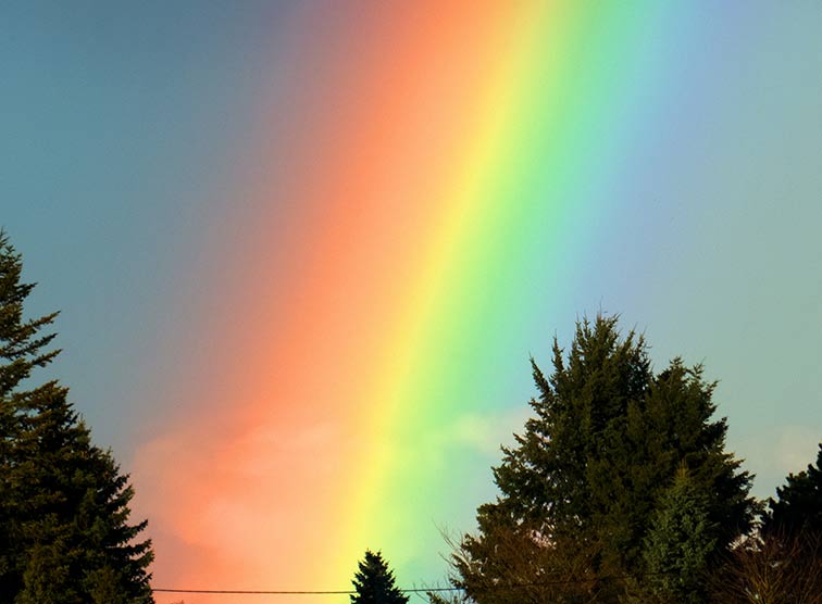 Regenbogen