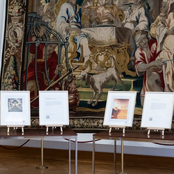 Theolympiade 2025 / Erzdiözese Wien/Schönlaub