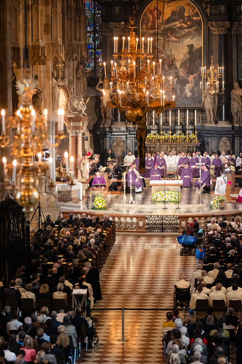 Stephansdom: Österreich nahm Abschied von Papst Franziskus / Erzdiözese Wien/ Schönlaub, Stephan Schönlaub Stephansdom: Österreich nahm Abschied von Papst Franziskus