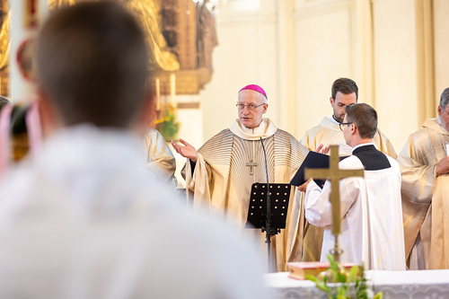 Erzdiözese Wien/Schönlaub, Stephan Schönlaub