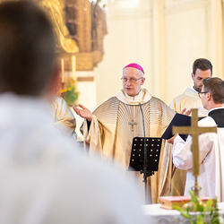 Erzdiözese Wien/Schönlaub, Stephan Schönlaub