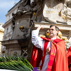 2025 Palmsonntag / Erzdiözese Wien/ Schönlaub, Stephan Schönlaub