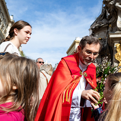 2025 Palmsonntag / Erzdiözese Wien/ Schönlaub, Stephan Schönlaub