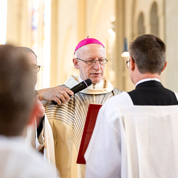 Erzdiözese Wien/Schönlaub, Stephan Schönlaub