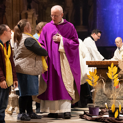 WDST 2024 im Stephansdom / Erzdiözese Wien/Schönlaub