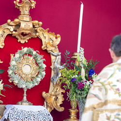 Fronleichnam 2025 / Erzdiözese Wien/ Schönlaub