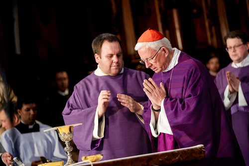 Stephansdom: Österreich nahm Abschied von Papst Franziskus / Erzdiözese Wien/ Schönlaub, Stephan Schönlaub Stephansdom: Österreich nahm Abschied von Papst Franziskus